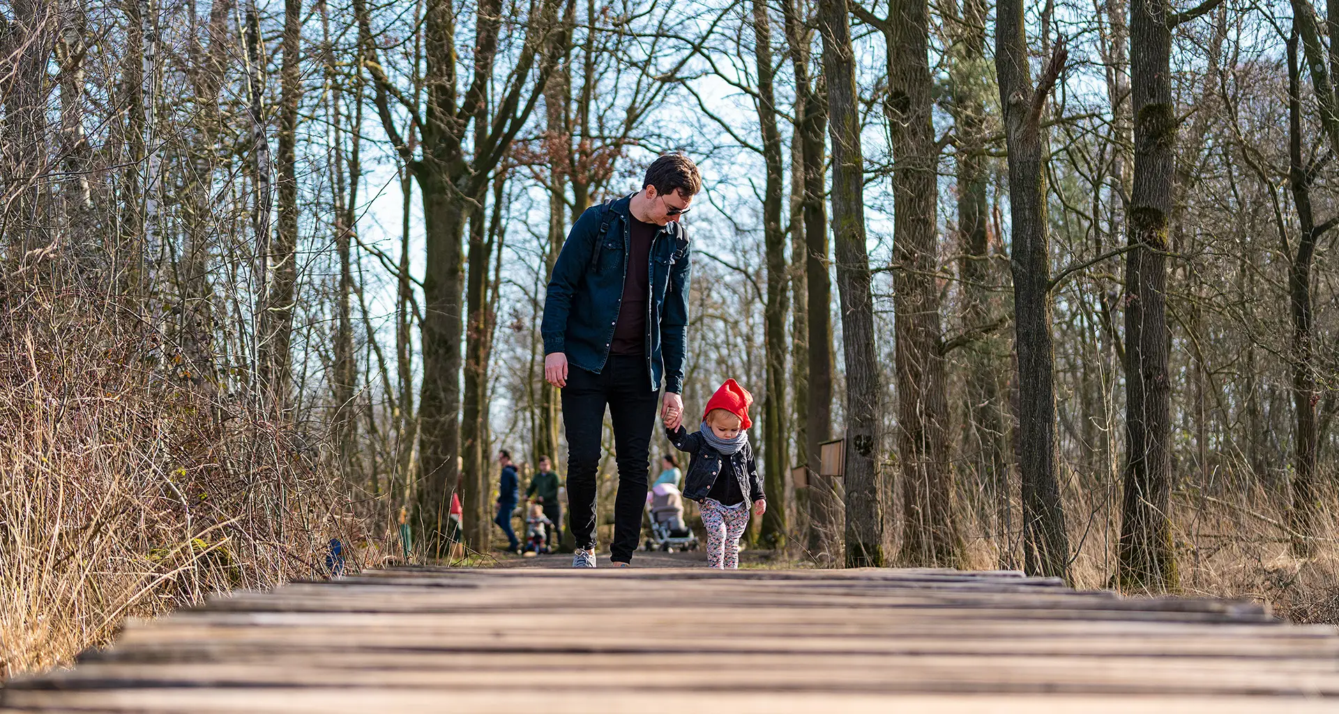 kabouterpad De Pelen in de Groote Peel in Noord-Limburg